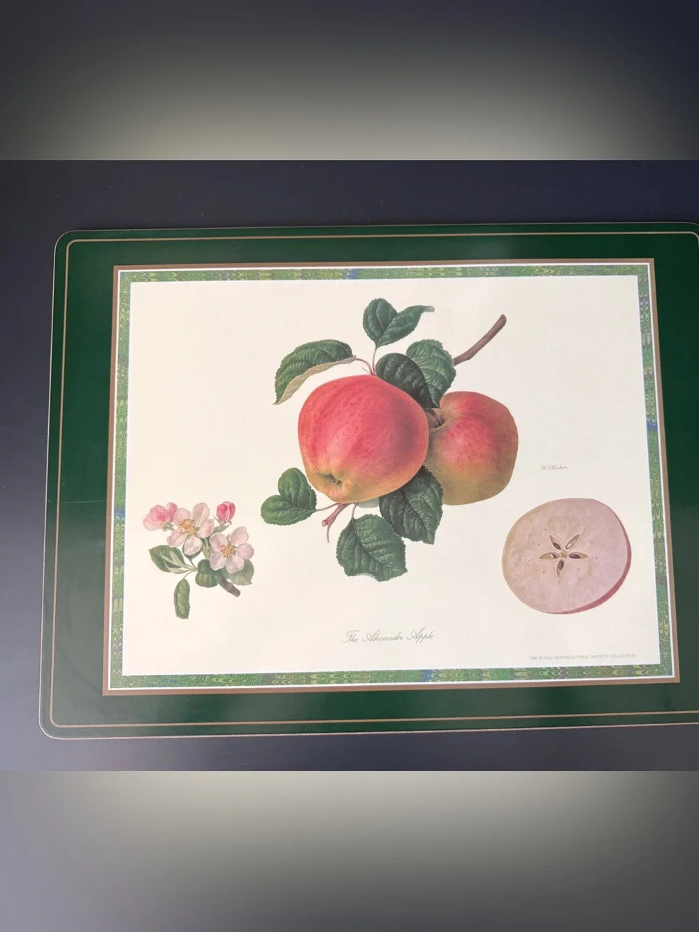 Pimpernel RHS Collection Cork Placemats Set 4 Botanical Fruit Hooker
